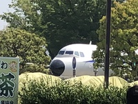 8-s-1.jpg
